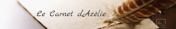 carnet ancien avec plume, les carnets d'Azélie - aménagement et décoration d'intérieur